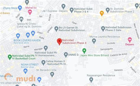 subdivision in caloocan|House and Lots in Natividad Subdivision .